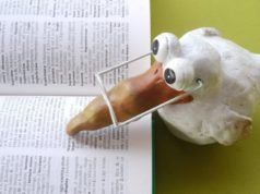 Ako vam je potreban dobar prevodilac i dobar prevod ovo morate znati Predvodilac