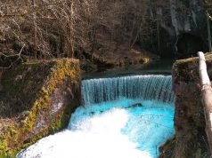 Krupajsko vrelo – prirodno blago istočne Srbije krupajsko vrelo