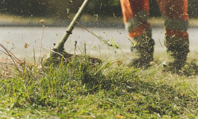 pexels-pascal-küffer-11364122 trimer-trava-dvorište