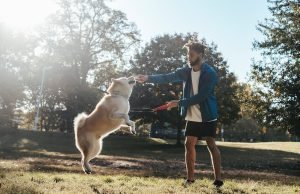 Zabavni načini kako da vežbate sa vašim psom pas