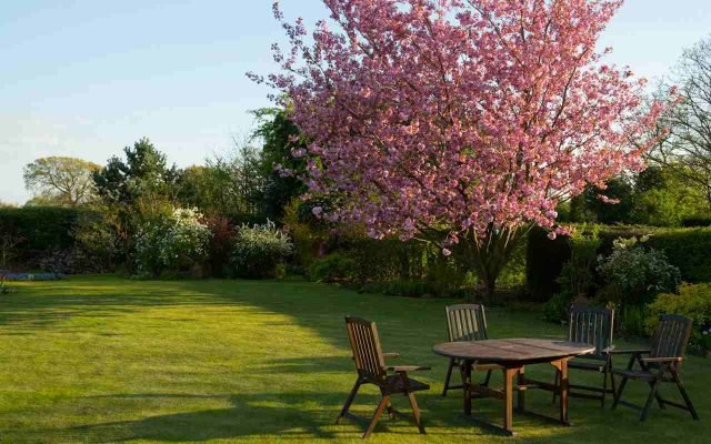 trava-drvo-stolice-sto trava-drvo-stolice-sto